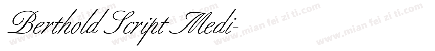 Berthold Script Medi字体转换